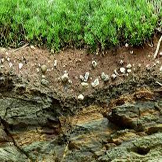 Soil And Natural Rock